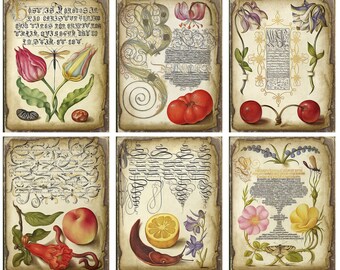 Hoja imprimible de efímeros botánicos, papel vintage para diario creativo con motivos florales.