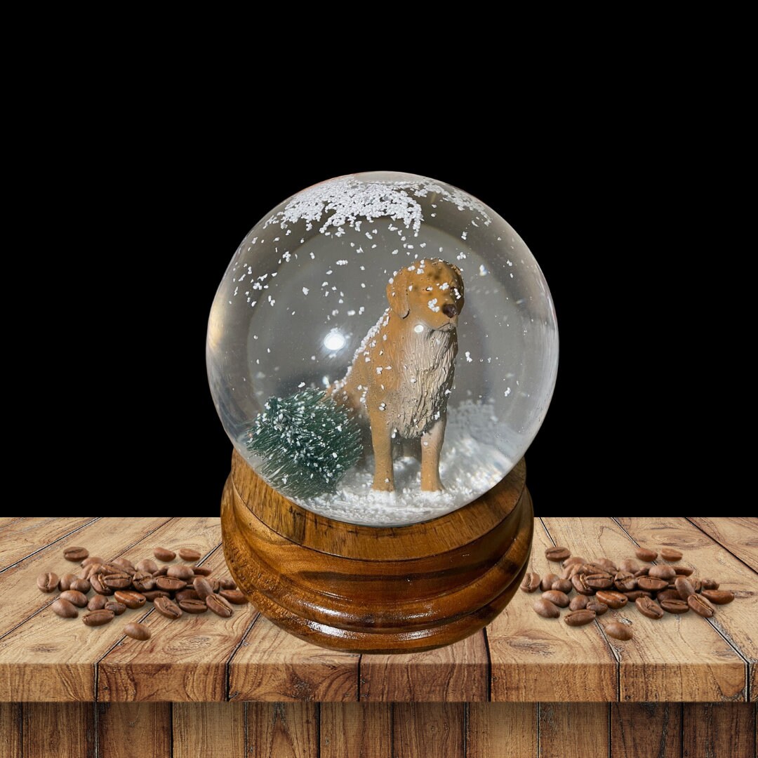 Custom Snow Globe Your Home in a Globe Etsy