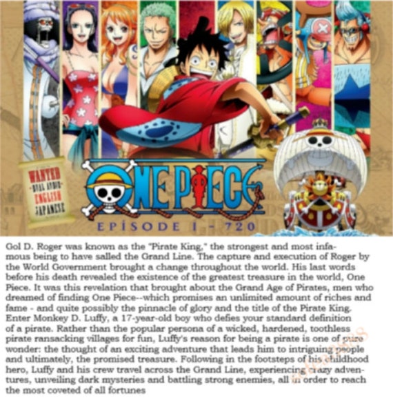 One Piece Coffret 1 One Piece Edition pirate 10 DVD - DVD Zone 2