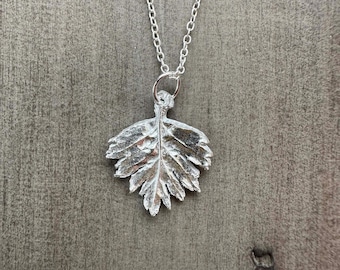 Colgante de hoja de espino en plata de ley - Hecho a mano con una hoja auténtica