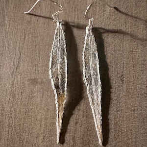 Puede incluir: Un par de pendientes plateados con forma de hoja. Los pendientes tienen una superficie texturizada con vetas detalladas y están suspendidos de sencillos ganchos para las orejas. Los pendientes se muestran sobre un fondo marrón neutro.