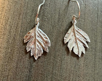 Tiny Hawthorn Leaf Sterling Silver Earrings: Handmade From A Real Leaf