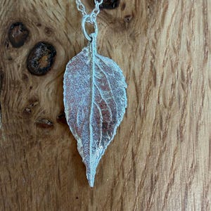 Op de afbeelding: Een zilverkleurige hanger in de vorm van een gestructureerd blad, hangend aan een fijne bijpassende zilverkleurige ketting. De bladhanger heeft complexe, verhoogde nerven en een gekartelde rand, die de organische details van een blad weergeven.