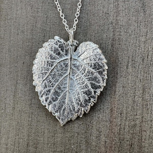 Könnte beinhalten: Halskette mit silbernem Blattanhänger. Der Anhänger ist eine detaillierte Nachbildung eines Blattes mit komplizierten Adern und Texturen. Er hängt an einer zarten Silberkette und ist ein von der Natur inspiriertes Accessoire.