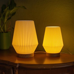 Può includere: Due lampade da tavolo illuminate con paralumi plissettati color crema e basi in legno. Le lampade, di diverse dimensioni, emettono un bagliore giallo caldo. Le lampade sono su un tavolo di legno, con una pianta verde sullo sfondo.
