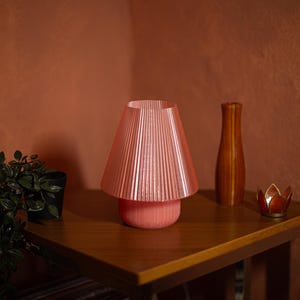 Könnte beinhalten: Eine rosa, plissierte Lampe mit rundem Sockel steht auf einem Holztisch, neben einer kleinen Topfpflanze und einer Holzvase. Ein kleiner Kerzenhalter befindet sich ebenfalls auf dem Tisch. Der Hintergrund ist warm, rötlich-braun.
