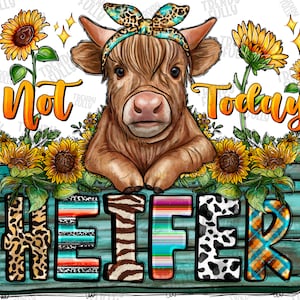 Not Today Heifer Png, Heifer Png, sublimation design, Cow Png, western cow png, Long Hair Cow png, sunflower cow png, Sublimate download
