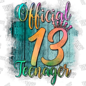 Official 13 Teenager, 13th Birthday Shirt, 13 Year Old Girl, Born in 2007, Birthday Gift Idea, Official Teenager Teen Girl Shirt