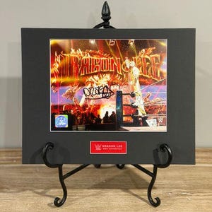 Dragon Lee Signed WWE 8x10 Photo