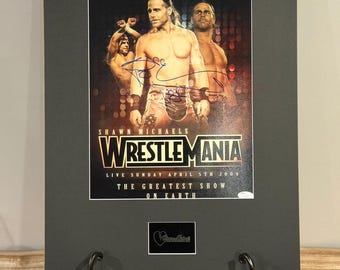 セスロリンズ、ローマンレインズ寄せ書きサイン色紙 ロマン・レインズ WWE 直筆サイン入り 8x10 写真（COA 付き） - Etsy 日本