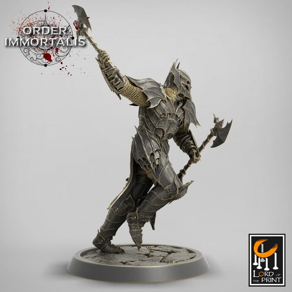 Blood Knight Axe Swing - Order Immortals - Blood Knight Hammer - Rescale Miniatures - 3D Printed Resin Miniature - D&D/Pathfinder/Fantasy