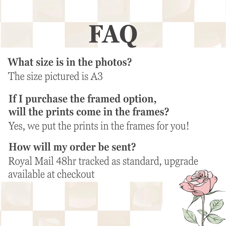 Pu&ograve; includere: Immagine con la parola "FAQ" in grandi caratteri scuri. Il testo risponde a domande sulle dimensioni di stampa, le opzioni con cornice e la spedizione. Un disegno dettagliato di una rosa rosa &egrave; in basso a destra.