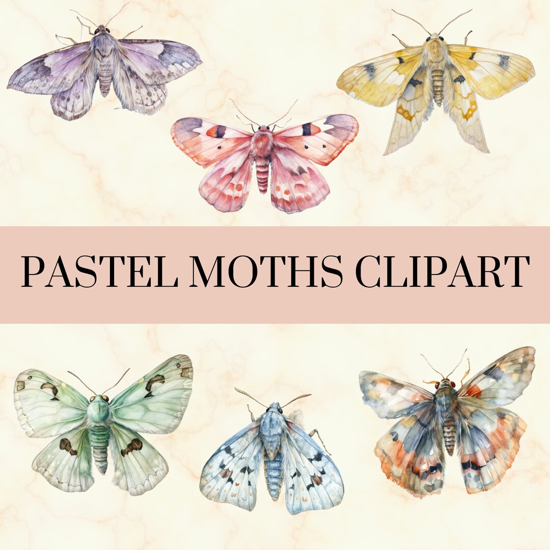 20 PNG Watercolor Pastel Moths Clipart Moth PNG Set, Cute Colorful Moth