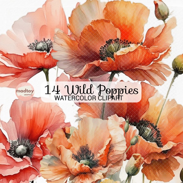 Poppies Clipart, Watercolor Wild Flower PNG, Red Floral Clipart Bundle Illustrations, Red Poppy PNG,  Flower Sublimation, Digital Download