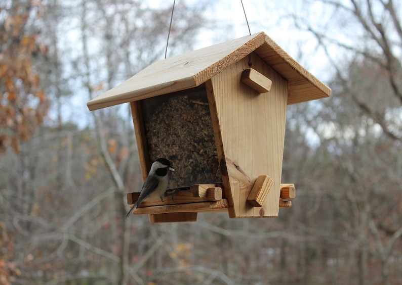 Cedar Bird Feeder Kit Etsy