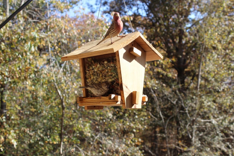 Cedar Bird Feeder Kit Etsy