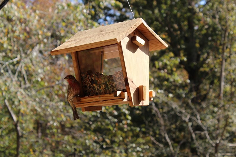 Cedar Bird Feeder Kit Etsy
