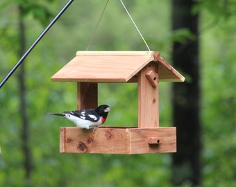 Fly Through Bird Feeder Kit