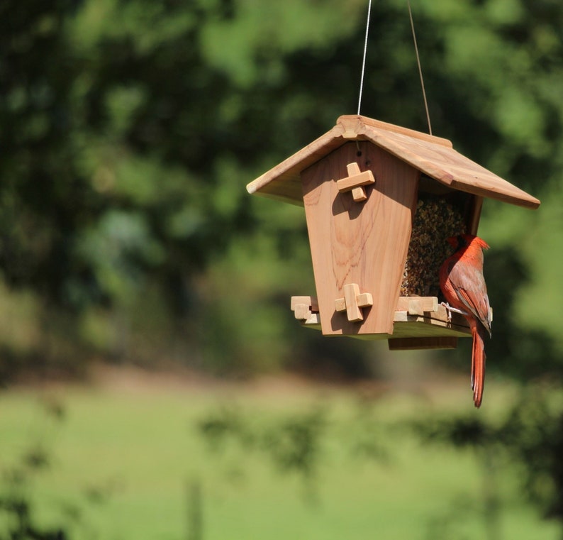 Bird Feeder Kit Aromatic Cedar Etsy