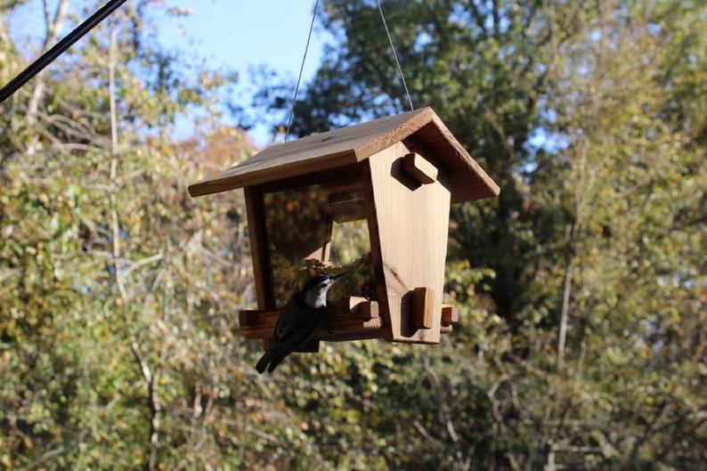 Cedar Bird Feeder Kit Etsy