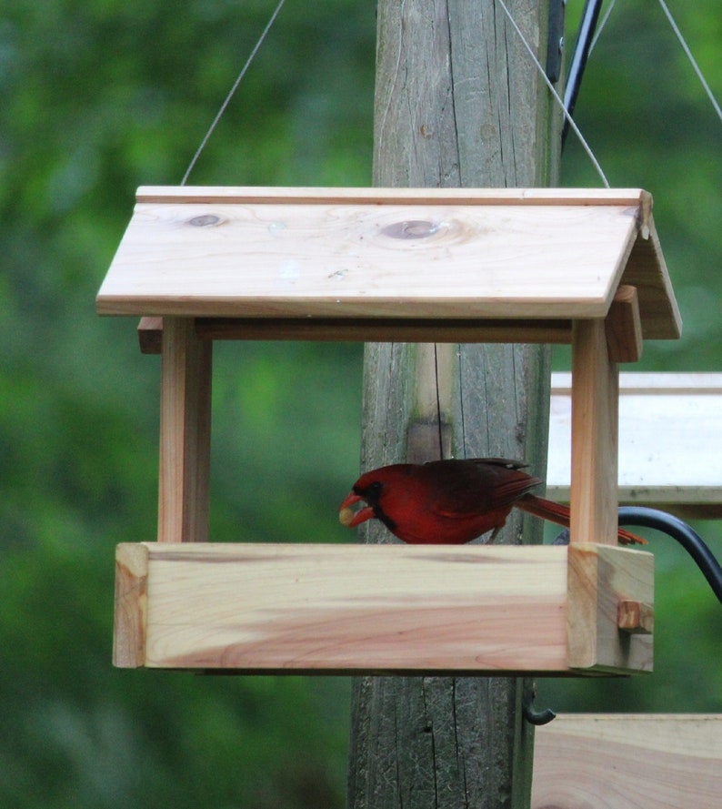 Fly Through Bird Feeder Kit Etsy