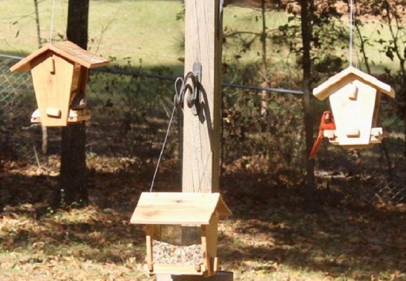 Cedar Bird Feeder Kit Etsy
