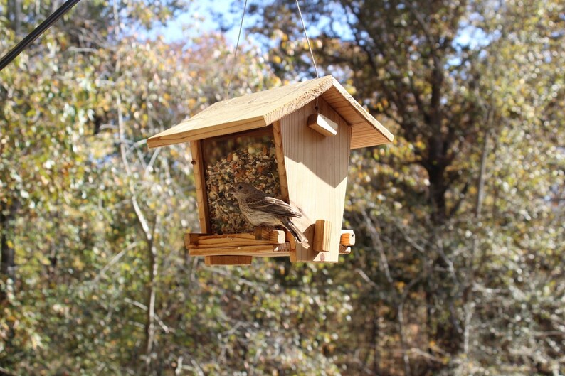 Cedar Bird Feeder Kit Etsy