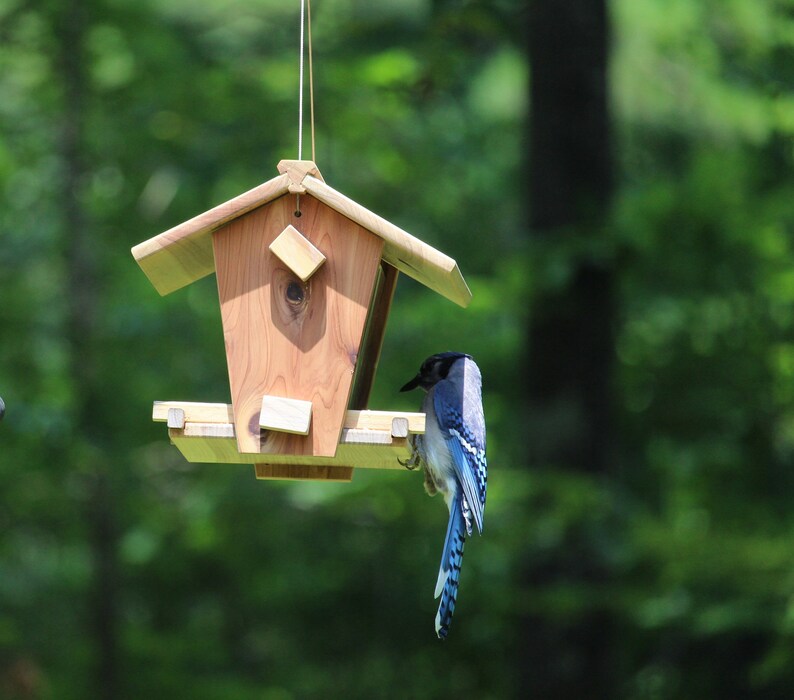 Large Cedar Bird Feeder Kit Etsy