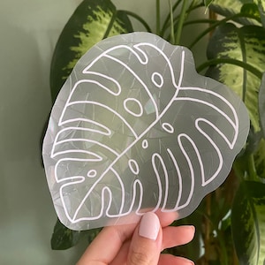 Monstera Leaf Suncatcher | Plant Lover Gift | Rainbow Maker | Window Sticker | Static Cling