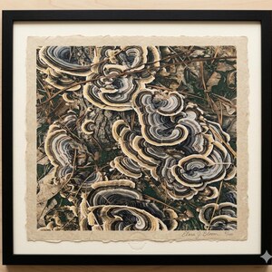 May include: A framed print featuring a detailed depiction of bracket fungi. The artwork showcases the layered, textured appearance of the fungi, with colors ranging from beige and tan to dark gray and black. The print is set against a neutral background and framed in a black frame.