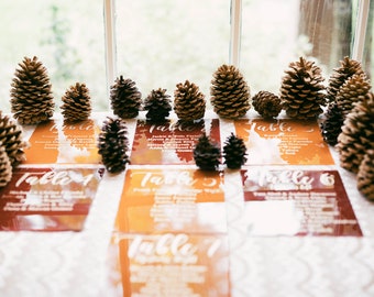 Puede incluir: Seis tarjetas de número de mesa con los nombres de los invitados escritos en ellas, decoradas con piñas sobre un mantel blanco.