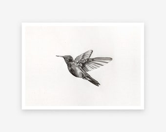 Carte postale oiseau, envol