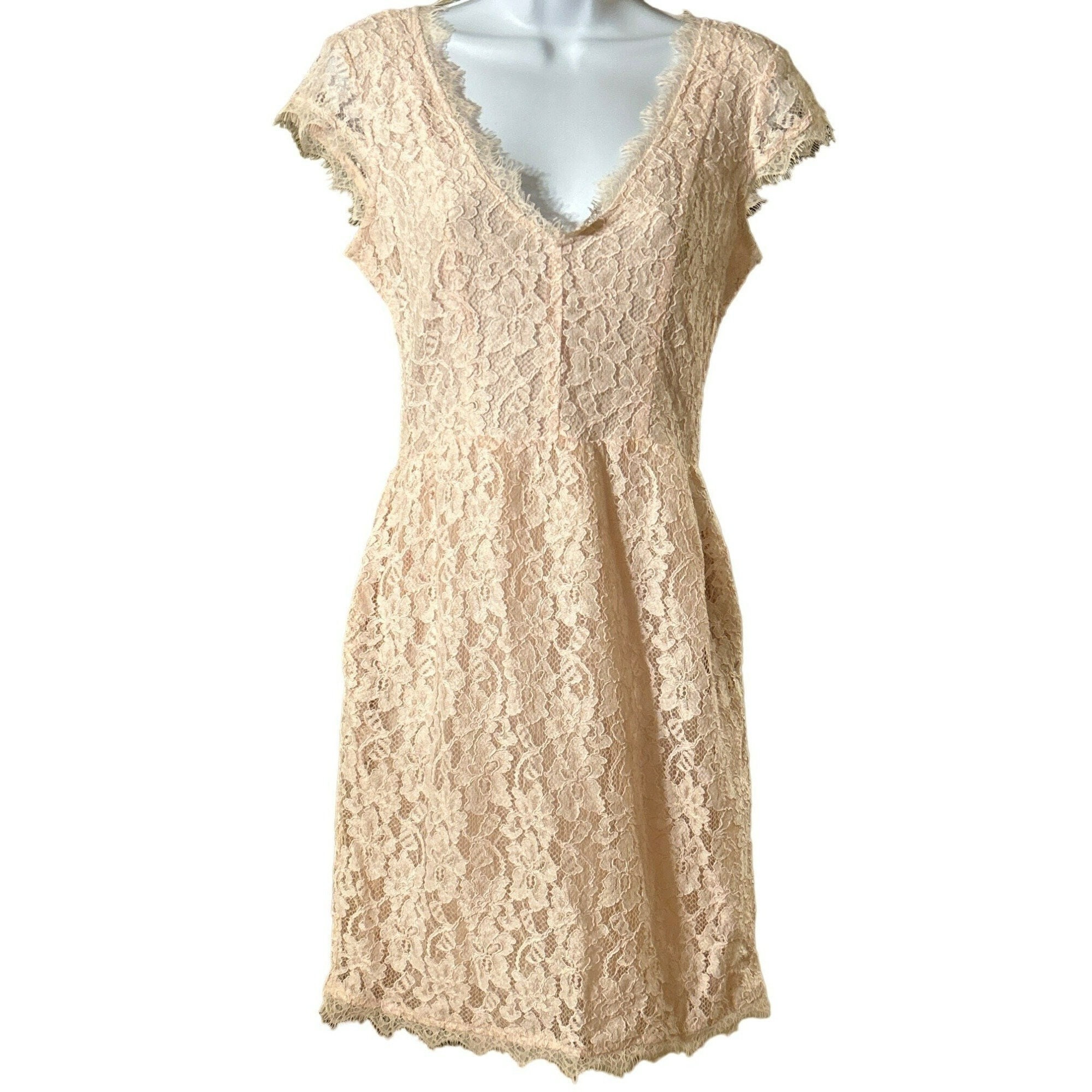 Anthropologie Babaton Women's Blush Pink Lace Mini Dress Size 4 Tobias  Eyelash Lash