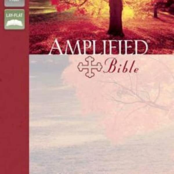 Amplified Bible Classic Etsy