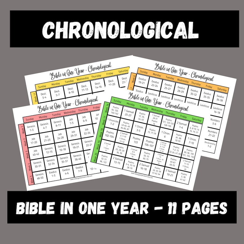 Chronological Bible Reading Plan Printable, Bible in One Year, 365 Days