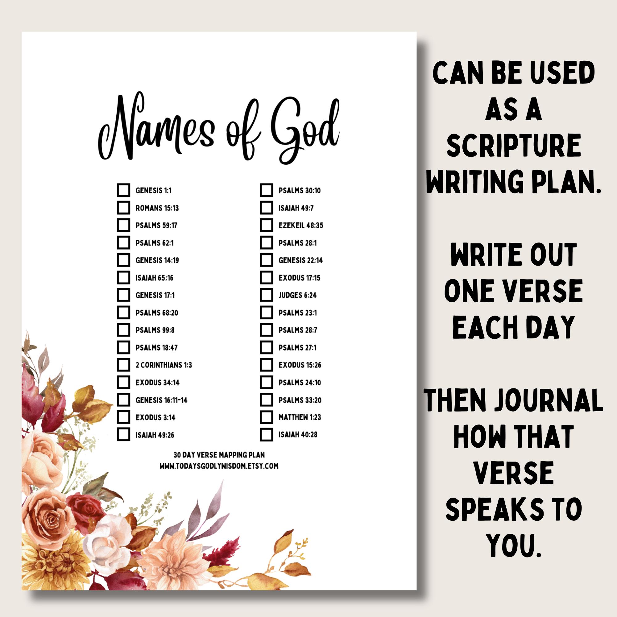 12 Month Bible Reading Plan for Beginners Bible Study Guide Printable ...
