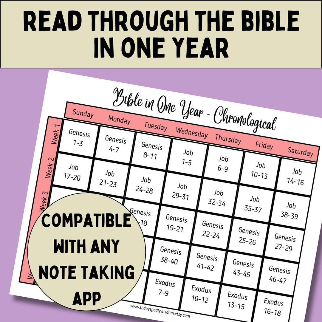 Chronological Bible Reading Plan for a Year Long Study Guide 365 Days ...