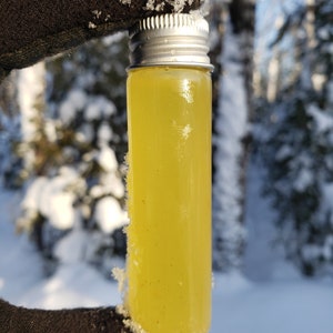 Pure Balsam Fir Resin, hand harvested