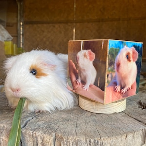 Custom Rotating Photo Cube, Personalized Solid Wooden Photo Album, Birthday Gift, Anniversary Gift for Her Him, Pet Memorial, Wedding Gift