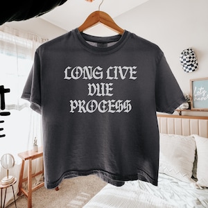 Comfort Colors® Long Live Due Process Boxy Crop, Protect Immigrants T-shirt, Activist Shirt, Liberal Political Tee