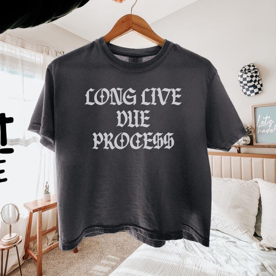 Comfort Colors Boxy Crop Top: Protect Immigrants Activist Tee, Long Live Due Process