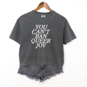 May include: A dark gray cropped t-shirt with the text "YOU CAN'T BAN QUEER JOY" in white lettering. The text is surrounded by small colorful stars.