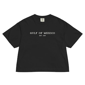 Op de afbeelding: Zwart T-shirt met de witte tekst "GULF OF MEXICO" en "EST. 1569". Het shirt heeft een relaxte pasvorm en korte mouwen. Het T-shirt is effen zwart.