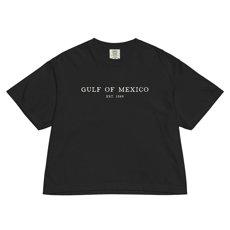 Op de afbeelding: Zwart T-shirt met de witte tekst "GULF OF MEXICO" en "EST. 1569". Het shirt heeft een relaxte pasvorm en korte mouwen. Het T-shirt is effen zwart.