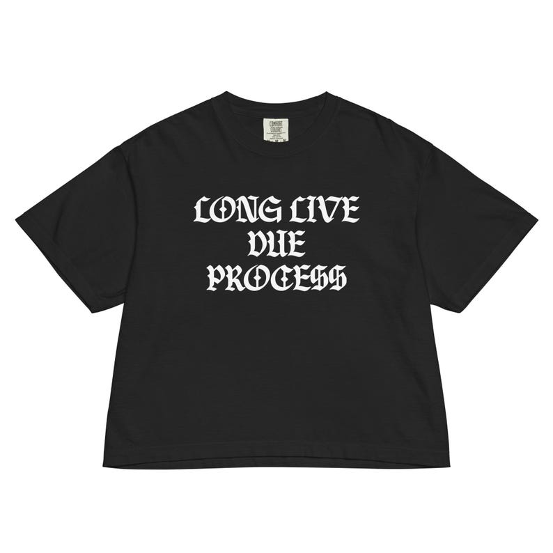 Puede incluir: Camiseta negra con el texto blanco "LONG LIVE DUE PROCESS" en fuente g&oacute;tica. La camiseta tiene un corte holgado y mangas cortas. El texto est&aacute; centrado en la parte delantera.