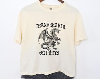 Inclusive Trans Rights Shirt, Gay Rights Crop Top, LGBTQIA Pride, Trans Tee, Trans Kids, Protect Trans Lives, Funny Queer Shirt, Transgender