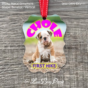 Personalized Photo Metal Ornament: Benelux Shape - Vertical