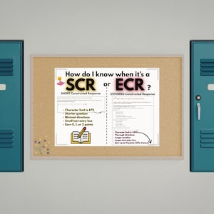 SCR vs ECR Anchor Chart Poster | Classroom Writing