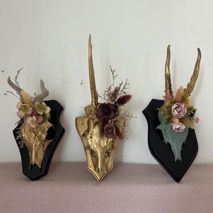 Könnte beinhalten: Drei dekorative Wandhalterungen mit Tierschädeln mit vergoldetem Geweih und Blumengestecken. Die Halterungen sind in Gold, Schwarz und Türkis gehalten, mit verschiedenen Trockenblumen und Blättern. Die Schädel sind auf schwarzen und goldenen Schilden montiert.