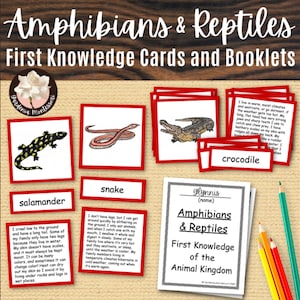 Cartões de 3 partes Montessori Répteis e Anfíbios Materiais Montessori - Reino Animal Cartões científicos Montessori Animais elementares Montessori